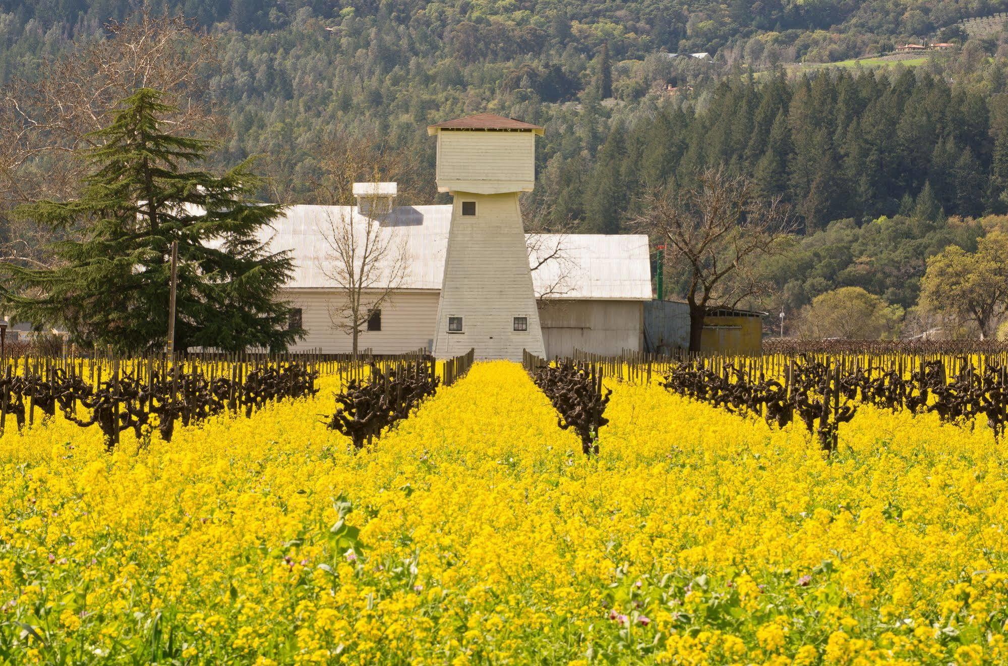 Shady Oaks Country Inn St. Helena Buitenkant foto